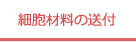 細胞材料の送付