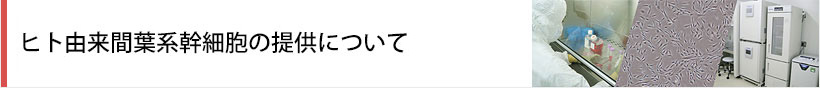 非臨床研究用ヒト由来間葉系幹細胞の提供について