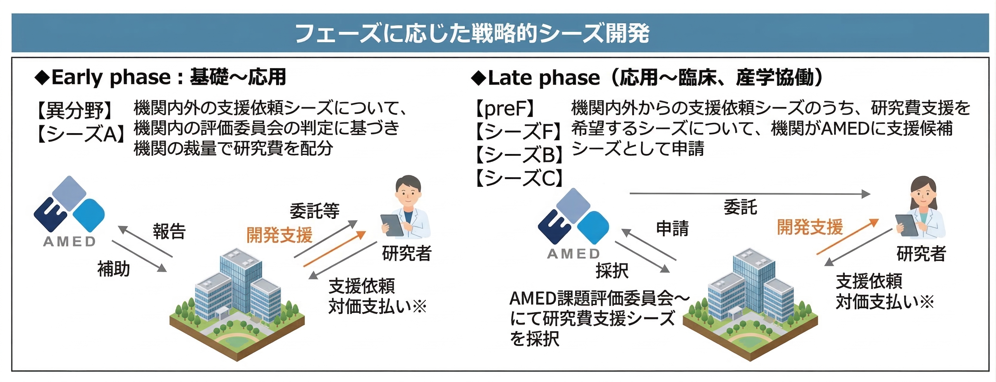 フェーズに応じた戦略的シーズ開発図