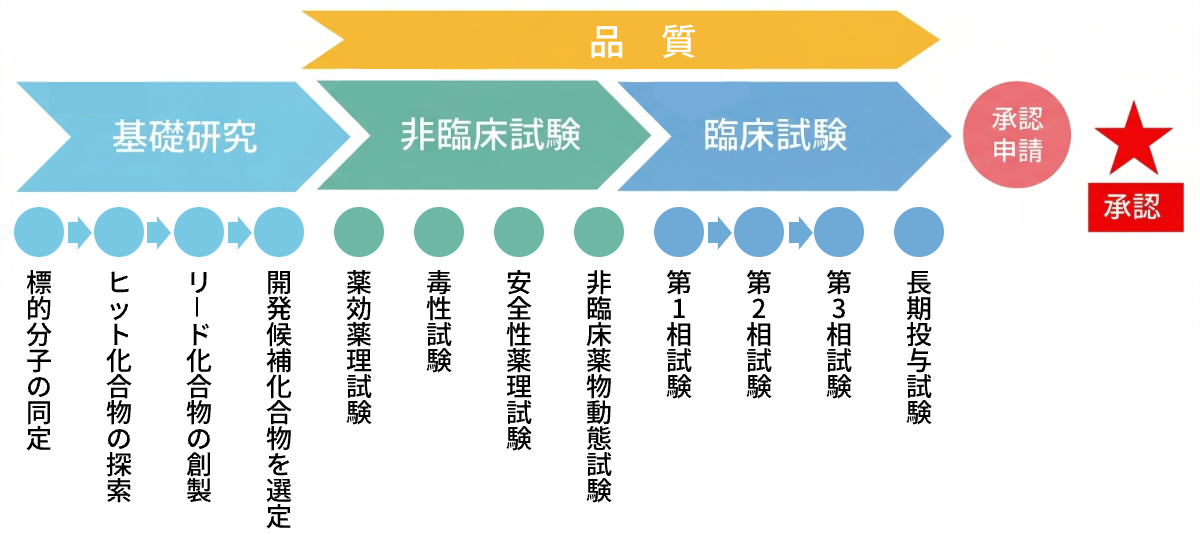 医薬品開発の流れ