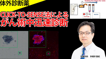 ピックアップ研究（医薬品）