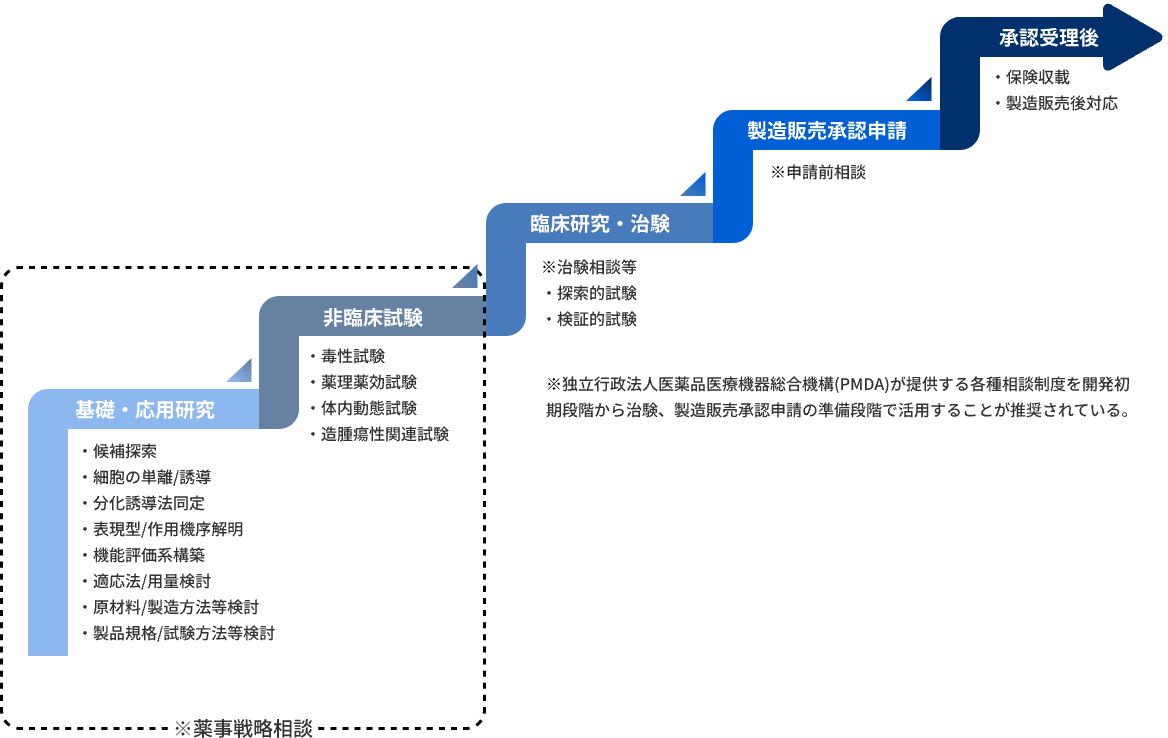 実用化（承認）までの流れ