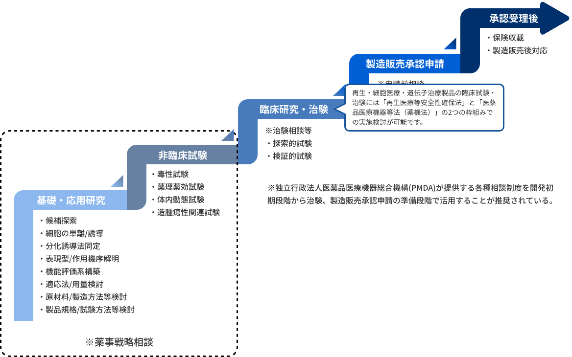 非臨床試験関係