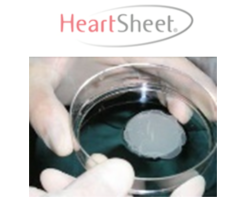 ハートシート